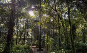 Meio Ambiente e Eco Projestos