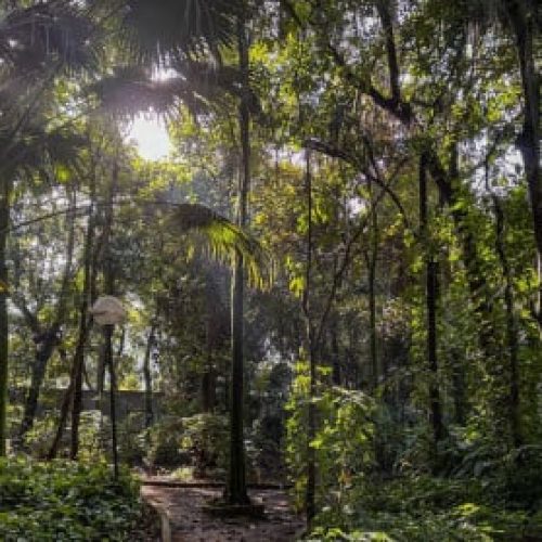 Meio Ambiente e Eco Projestos